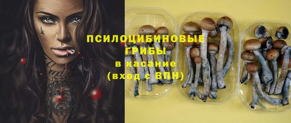 PSILOCYBIN Волоколамск