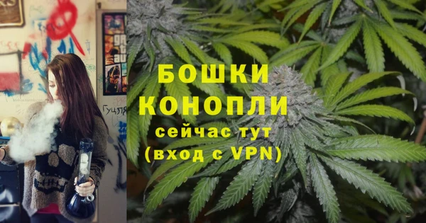 PSILOCYBIN Волоколамск