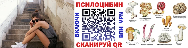 Псилоцибиновые грибы Cubensis  Вязьма 